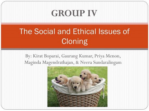 The Social and Ethical Issues of Cloning - SlideServe