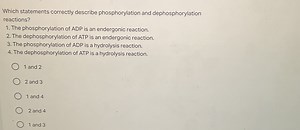 Which statements correctly describe phosphorylation and dephosp... | Filo