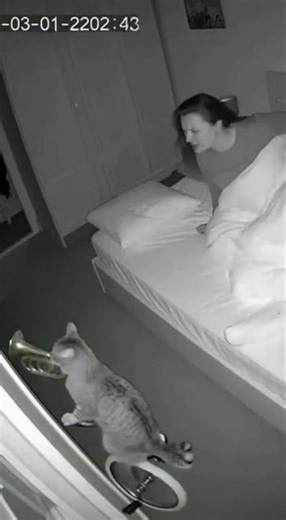 Dein Wecker um 3 Uhr morgens😸