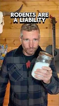 Baking Soda Rodent Control How It Works for Mice and Rats Without Poisons in Barns and Sheds
