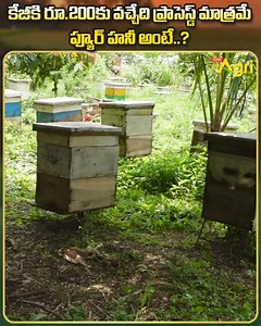 240K views · 1.6K reactions | Honey Bee Farming Information Guide....
