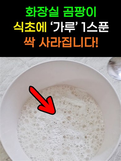 화장실 곰팡이 식초 & 가루로 간편 제거