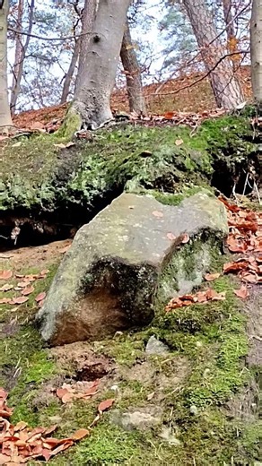 Unter der Schicht liegt was verborgen und vergessen.