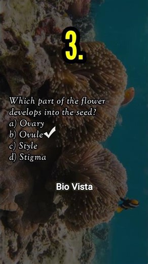 5 Important Questions on Reproduction in Flowering Plants | Class 12 Biology | Bio Vista