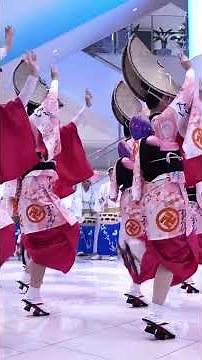 日本の伝統舞踊「阿波踊り」✨ 笑顔あふれる華やかな踊り｜Japan Festival #japan #lifeisbutadream #travel #祭り #japanlife #japanfes