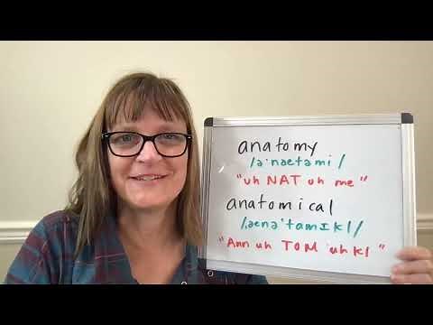 How to Pronounce Anatomy and Anatomical