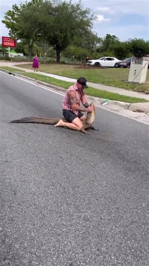 Florida man wrangles large alligator with his bare hands. READ >>> at.wftv.com/3UikHs2 | WFTV Channel 9