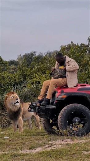 El reino animal nunca deja de asombrarnos #mundoanimal #animals #wildlife | Mundo Animal