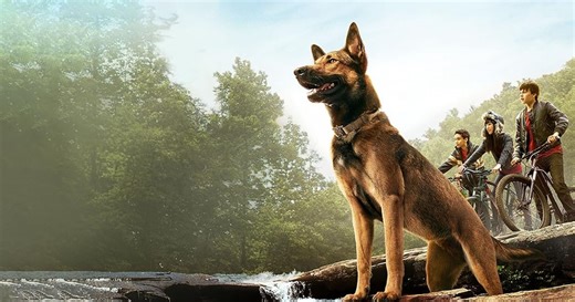 Top 10 Netflix: ‘Max’ arrasa en Perú y se convierte en la película más vista de hoy, 28 de enero