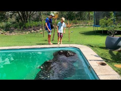 200 Momentos Incríveis Gravados Pelas Câmeras