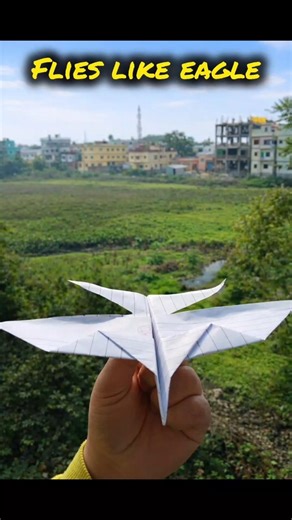 Is it a Bird or a Plane? 🦅😱 #Shorts #ytshorts