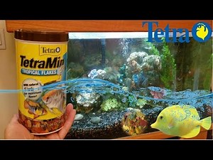 Tetra TetraMin Plus Tropical Flakes Fish Food Review