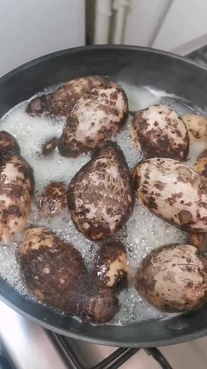 Hello les amis, aujourd'hui je vous présente comment préparé le taro simple et facile à réaliser😋, 👻 Snap : cuisine_marina Retrouvez toutes mes recettes sur ma page instagram et Facebook Lacuisinedemarina Le taro est un tubercule, autrement dit un légume-racine, de la famille des aracées. Il porte plusieurs noms : songe, madère, chou de chine, dachine ou encore colocase, du latin Colocasia esculenta. Certains taros sont de forme allongée et rappellent la patate douce. D’autres sont plutôt arro