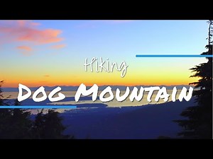 DOG MOUNTAIN: Mt. Seymour's Most POPULAR Hike!