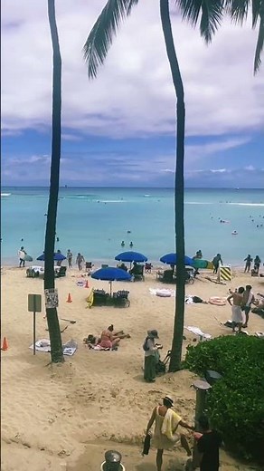 Blue Hawaii (Elvis Presley 1961)