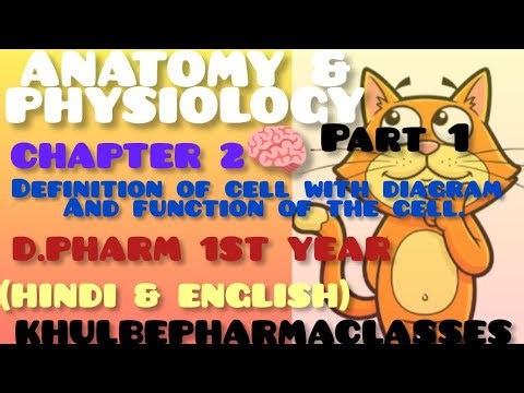 Chapter 2 human cell...