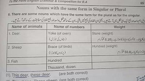 Errors in the use of Nouns | English Grammar Rules | CSS with Umar