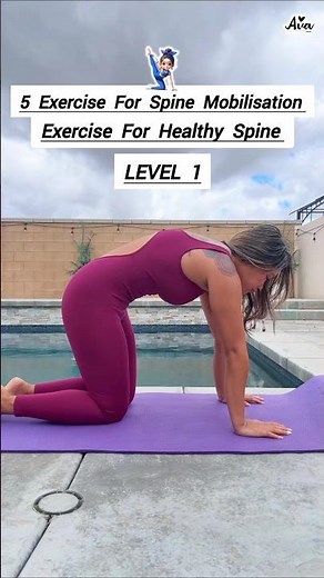 Spine Mobility Exercises for Beginners