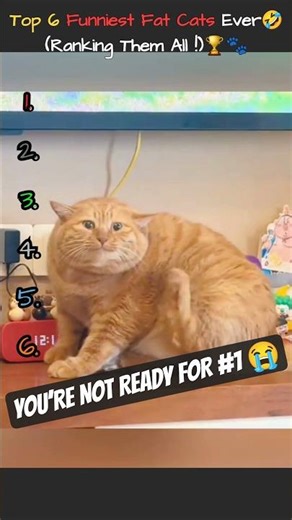 Ranking the Internet’s Funniest Fat Cats 🐱💀 #catshorts #funnycats #cat #viralshorts #shorts