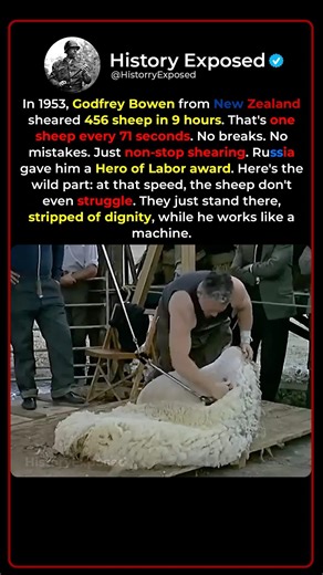 When the World's Fastest Sheep Shearer Broke Physics 🐑⚡️