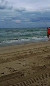 This morning in Carova catching blues! By Ally Marriott | Outer Banks