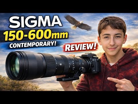 Sigma 150–600mm Review – Is It Worth It for Wildlife Photography?