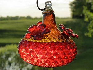 Glass Hummingbird Feeders (That Actually Work!)