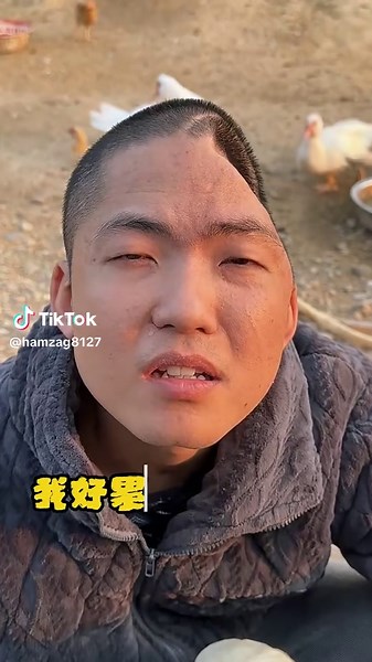 TikTok Team Please Don't Under Review My Videos 😡 #fyp #foryou #foryoupage #documentary #aminal #please #tiktok #team #viral #my #video #1millionaudition #animalvideos #geography #1millionaudition #1millionaudition #lion #abdullah_trick_master⭐
