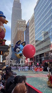 Floating high above NYC! Bluey and the Keepy Uppy Ballon are back at Macy’s Thanksgiving Day Parade 💙🎈#macysparade | Bluey