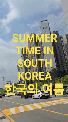 SUMMER TIME IN SOUTH KOREA 한국의 여름