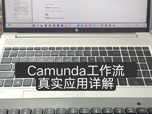 camunda工作流真实应用详解，活久见单体架构项目技术栈堆了dubbo、camunda、nacos、seata，是为了后面转微服务么？