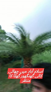 Pakistan live news.tv on Reels