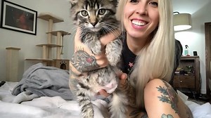 115K views · 10K reactions | Three hands up if you love Jez! ✋✋✋ In my brand new video, I discuss my experience raising a 3-legged kitten after amputation surgery. Bonus: there’s a LOT of cute Jez footage you’ve never seen! Watch the 9 minute video on my channel by clicking HERE: bit.ly/tripodkitten | Kitten Lady | Facebook