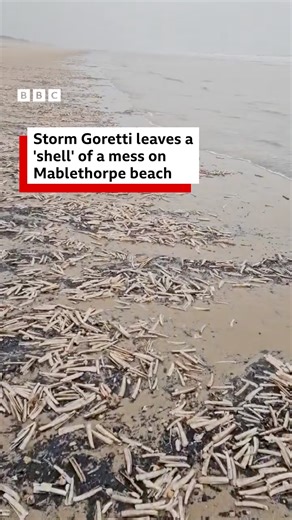 Thousands of shells have washed up on Mablethorpe beach after a spell of bad weather 🐚 🎥 National Coastwatch Mablethorpe | BBC Lincolnshire