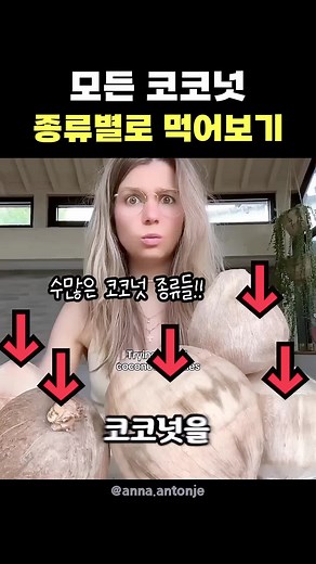 코코넛 종류별 먹어보기 — 다양한 코코넛 과육 맛 비교