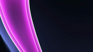 Female Ovary Fallopian Tube Uterus Reproductive Stock Footage Video (100% Royalty-free) 1106258531 | Shutterstock