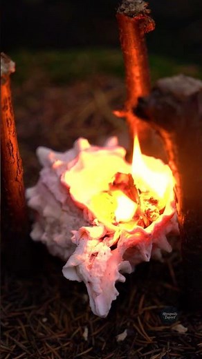 Shells: The Secret Ingredient for Outdoor Cooking!