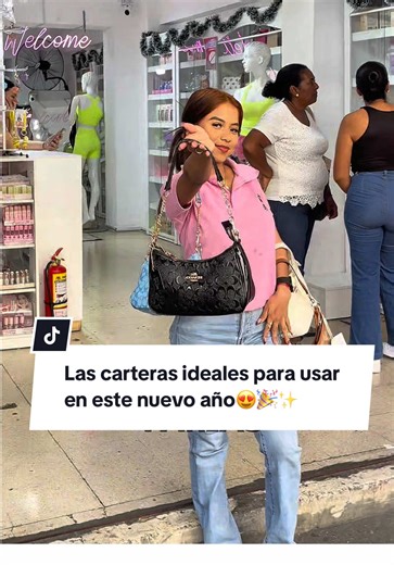 Carteras de Pinterest ya disponibles en Tassy's Gloss