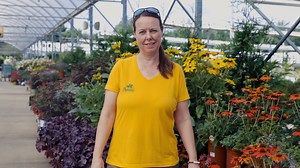 3.8K views · 81 reactions | Keystone plants play an essential role in supporting the wildlife around us – attracting, hosting, and feeding the caterpillars of butterflies, moths, bees, and birds native to our region. Noelle touches on 10 different "keystone" perennial plant families, all of which need full sun conditions to do their important work in supporting wildlife. | Petitti Garden Centers | Facebook