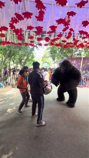 Mit collage event 🦍🦍🦍dance