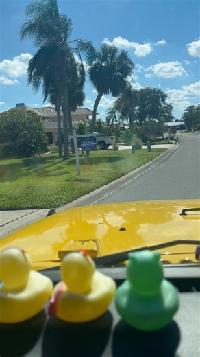 1.3K views · 30 reactions | Home sweet home | Kimberly McDaniel Bounds | Facebook