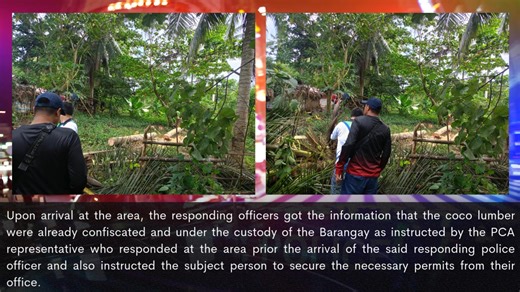 PNP CAMALIG RESPONDS TO 911 EMERGENCY FIVE (5) MINUTES RESPONSE SUCCESS STORIES (ILLEGAL LOGGING) At about 1:00 P.M. of September 29, 2025, duty TOC of this office received a cellular phone call thru 911 requesting for police assistance to an alleged Illegal logging activity transpired at Purok 2, Brgy. Comun, Camalig, Albay. Upon received of call from 911 at about 1:03 P.M. of September 29, 2025, responding officers of this station immediately proceeded at the location to verify the veracity of