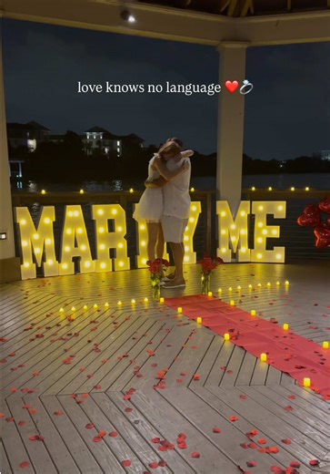 Engagement Proposal Moments that Melt Your Heart