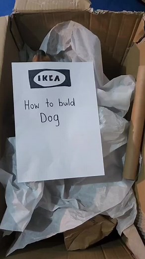 How to Build a Dog: Step-by-Step DIY Guide