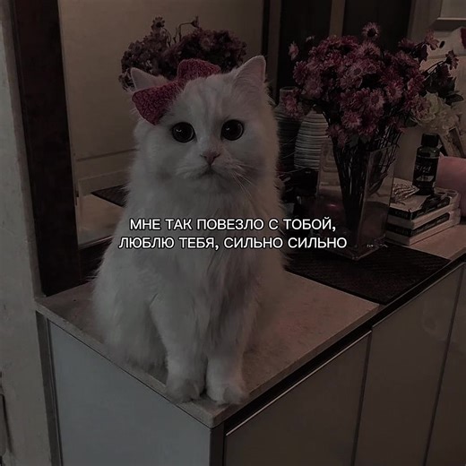 Creative and Fun Video Ideas for Social Media Engagement