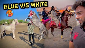 138K views · 5.1K reactions | COMPETITION SOON!TNE $under WH!TE GH0DE KABH! NAH! DEKH€K0n JEETEG@ YAH@ RAC€ ? | Abhinav Meeruthiya | Facebook