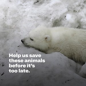 161 reactions · 22 shares | ⚡️Make Your 2025 Impact Now⚡️ Did you...