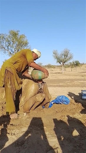 شيخُ الصحراءِ يروي جمله بقطراتٍ من رحمةٍ… ولمعانُ الظهرِ تحت شمس الرمال 🐪✨💦