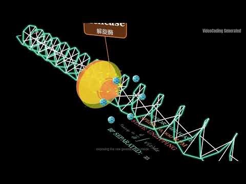 VideoCoding Launch: From One Prompt to a Full Directed Film