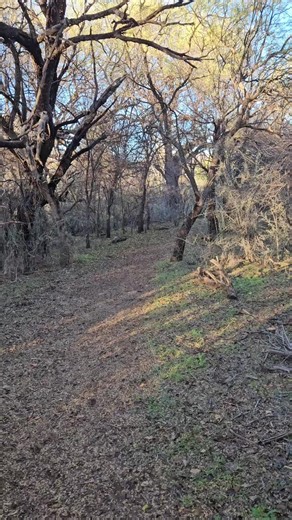 Part 1: Walking Arivaca Creek Trail, AZ. #arizona #azlife #hiking #explorepage✨ #fyp